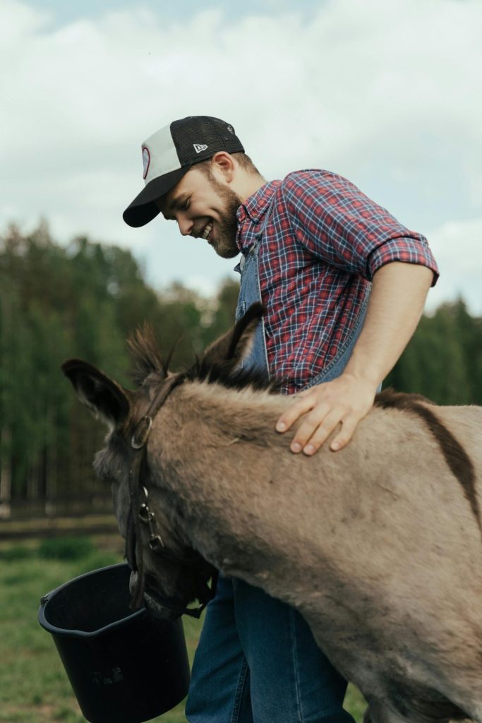 A joyful farmer with a beard in a checkered shirt feeds a donkey on a rural farm.