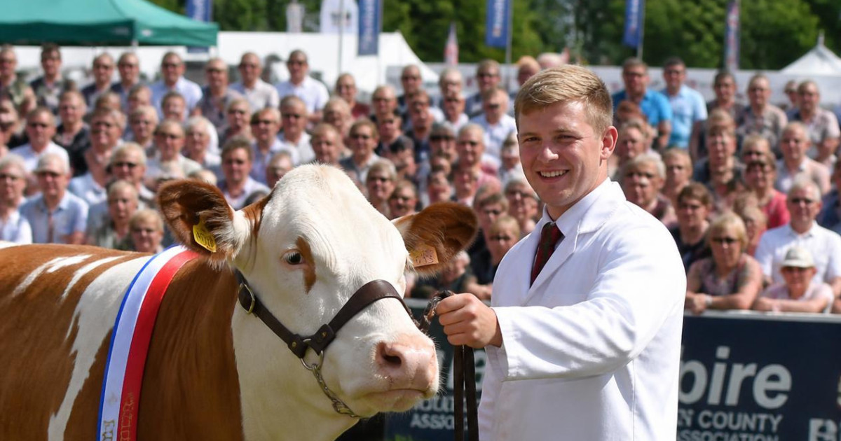 westmorland country show featuring agricultural accountants Brown and Co